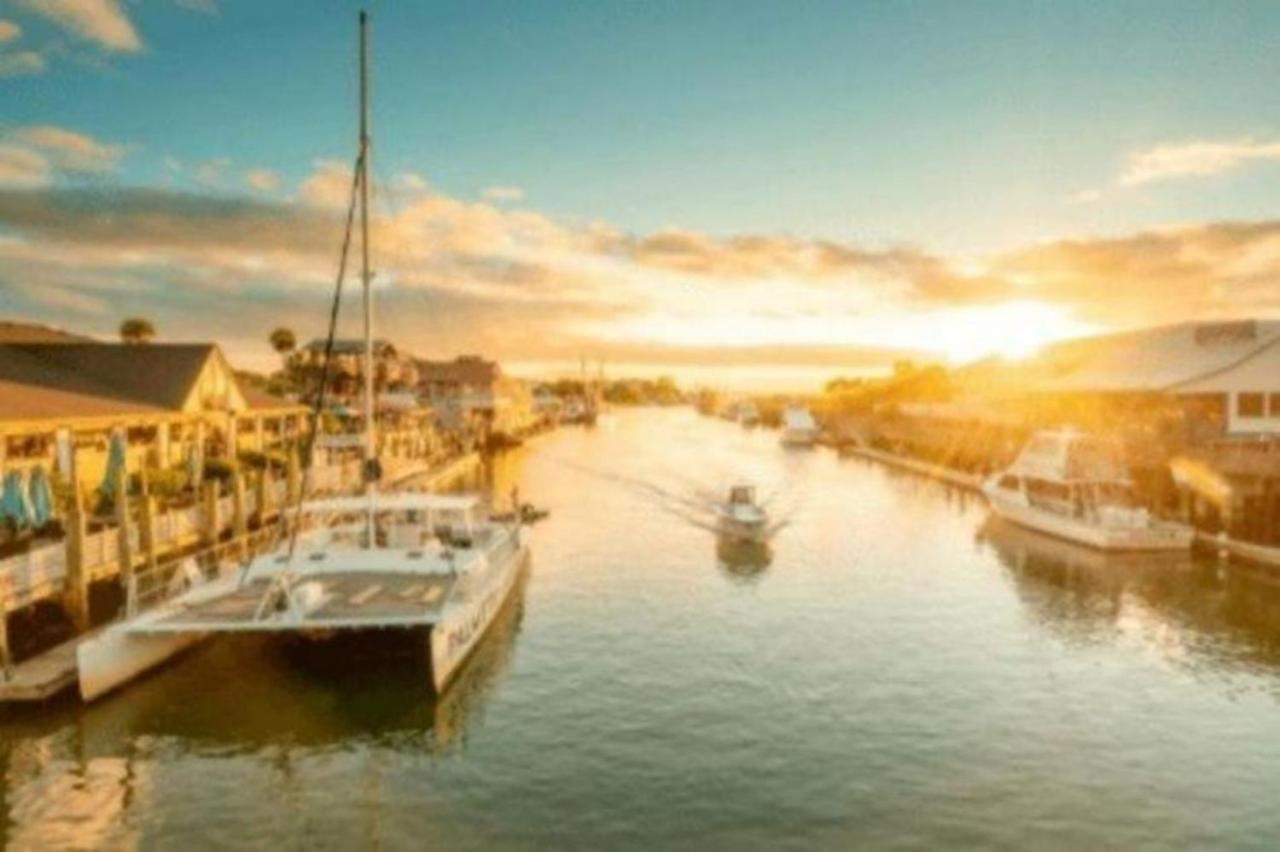 ☆Live On The Water! Lake Palmetto Palm W/ Patio - 10Min To Downtown & Beaches☆ Charleston Dış mekan fotoğraf